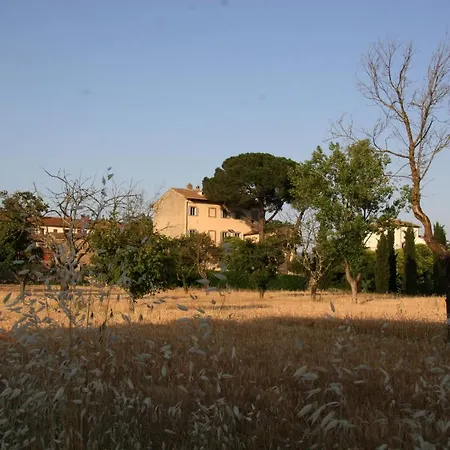 Guadagni Cappelli * Arezzo
